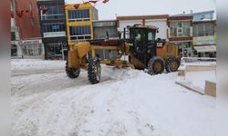 Van'da Ulaşım Sorunu: 81 Yerleşim Yeri Kapandı