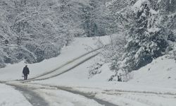 Zonguldak'ta 67 Köy Yolu Ulaşıma Kapandı