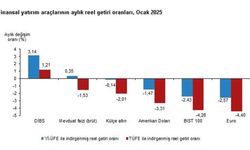 Ocak Ayında Yatırımcıların Gözdesi DİBS Oldu