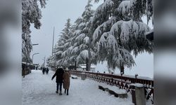 Ordu'da Kar Yağışı Eğitimi Olumsuz Etkiledi