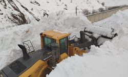 Mezra Yolu Çığ Sonrası Yeniden Ulaşıma Açıldı