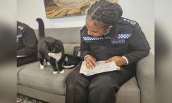 Palmerston, Bermuda'daki Yeni Görevine Adım Attı