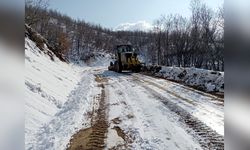 Diyarbakır'daki Kapanan Yollar Yeniden Ulaşıma Açıldı