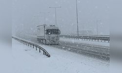 Kocaeli'yi Beyaza Bürüyen Kar Yağışı Etkili Oldu