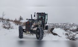 Elazığ'da Kış Şartları Ulaşımı Olumsuz Etkiliyor