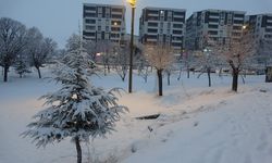 Bitlis'te Kar Yağışı Hayatı Olumsuz Etkiledi