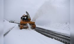 Bingöl'de Kış Koşulları Ulaşımı Olumsuz Etkiliyor