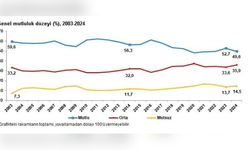 Türkiye'de Mutluluk Oranı Yüzde 49,6 Olarak Belirlendi