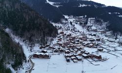 Uzungöl Gölü Kışın Buzla Kaplandı