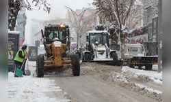 Van'da Ulaşım Sorunu: 560 Yerleşim Yeri Kapandı