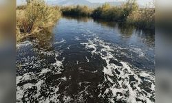 Büyük Menderes Nehri Kirlilik Nedeniyle Siyah Renk Aldı