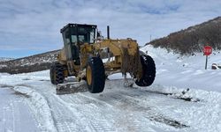 Elazığ'da Kış Şartları 105 Köy Yolunu Kapattı