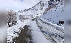 Diyarbakır'da Kapanan Kırsal Yollar Yeniden Ulaşıma Açıldı