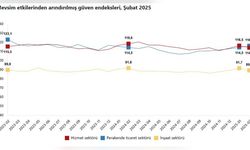 Perakende Ticarette Güven Endeksi Yükseldi, İnşaat ve Hizmet Sektöründe Düşüş Yaşandı