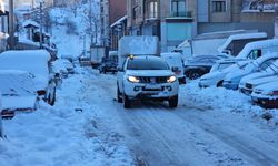 Zonguldak'ta Buz Sarkıtları ve Kapalı Köy Yolları Sorunu