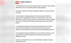 Cumhurbaşkanı Erdoğan ve Sırbistan Cumhurbaşkanı Vucic Görüşme Gerçekleştirdi