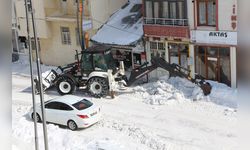 Karlıova'daki Kar Yığınları Kamyonlarla Taşınıyor