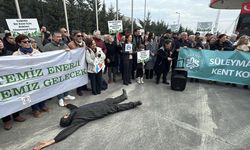 Tekirdağ'da Çimento Tozu İsyanı