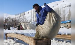 Bitlis'te Kış Koşullarında Besicilik Mücadelesi