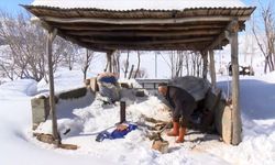 Yardım Talebi: Köydeki Ailenin Zor Durumu