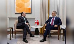 Fidan ve Schallenberg'den Önemli Görüşme