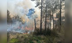 Antalya'da Orman Yangını Kontrol Altına Alındı