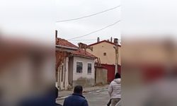 Kızıl Geyik Çatıdan Düşerek Hayatını Kaybetti