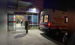 Otomobil Kazasında Bir Kadın Hayatını Kaybetti