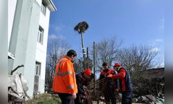 Leylek için yeni yuva: Eğilen direk onarıldı