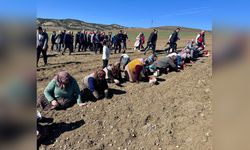 Tarım Bakanı Yumaklı, Kastamonu'da Sarımsak Ekimi Etkinliğine Katıldı