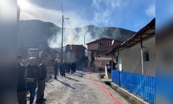 Gümüşhane'de Anız Ateşi İki Evi Kül Etti