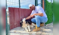 Hayvanseverin Köpekleri Yeni Sahiplerine Kavuştu