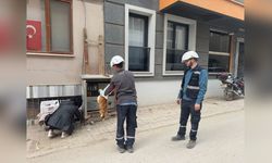 Erdek'te Trafoya Giren Kedi Nedeniyle Elektrik Kesintisi Yaşandı