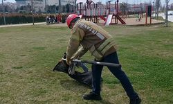 Silivri'de Okul Havalandırmasında Mahsur Kalan Kedi Kurtarıldı