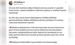 Yüksekova Belediye Başkanı İçin Soruşturma İzni Verildi