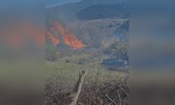 Çanakkale'deki Tarım Arazisinde Başlayan Yangın Ormanda Kontrol Altına Alındı