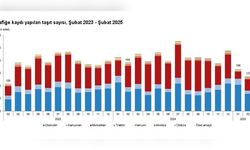 Şubat Ayında 136 Bin 810 Taşıt Trafiğe Kaydedildi