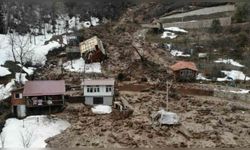 Artvin'de Heyelan Sonucu Ahşap Ev Çatısına Devrildi