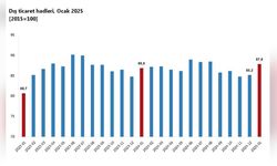 Ocak Ayında Dış Ticaret Haddi Yükseldi