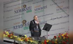 Diyarbakır'da Nevruz Coşkusu Başladı