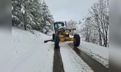 Elazığ'da Kar Yağışı Nedeniyle Eğitime Ara Verildi