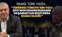 İsmail Türk yazdı... Bu nasıl üslup?