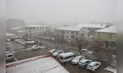 Karlıova'da Kar Yağışı Hayatı Olumsuz Etkiledi