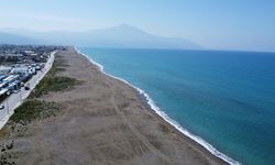 Deprem gönüllülerin deniz kaplumbağalarını izleme ve koruma çalışmalarını etkiledi