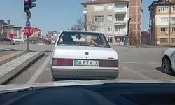 Buzağıyı Veterinere Otomobille Taşıdılar
