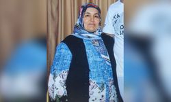 Kayınvalidesiyle Tartışan Adam Bıçakla Öldürdü