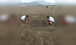 Dalyan'da Bu Yılın İlk Caretta Caretta Yuvası Tespit Edildi