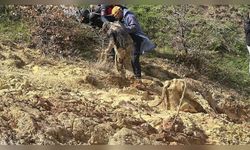 Çamura Saplanan Çiftçi ve İneği AFAD Ekipleri Tarafından Kurtarıldı