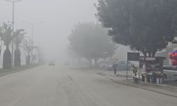 Adana'da Yoğun Sis Hayatı Olumsuz Etkiledi