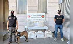 Kapıkule Sınır Kapısı’nda 87 Kilo Uyuşturucu Ele Geçirildi, 3 Kişi Tutuklandı